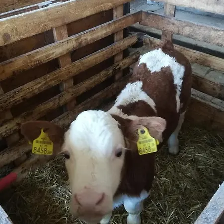 Apartamento Schaubmeier