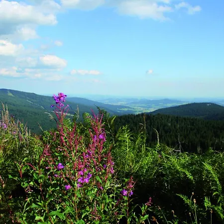 Schaubmeier * Klaffer am Hochficht