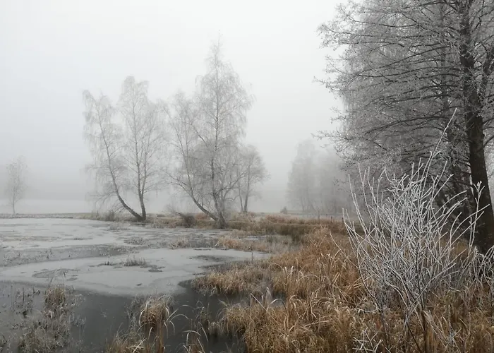 شقة Schaubmeier كلافر ام هوتشفيشت
