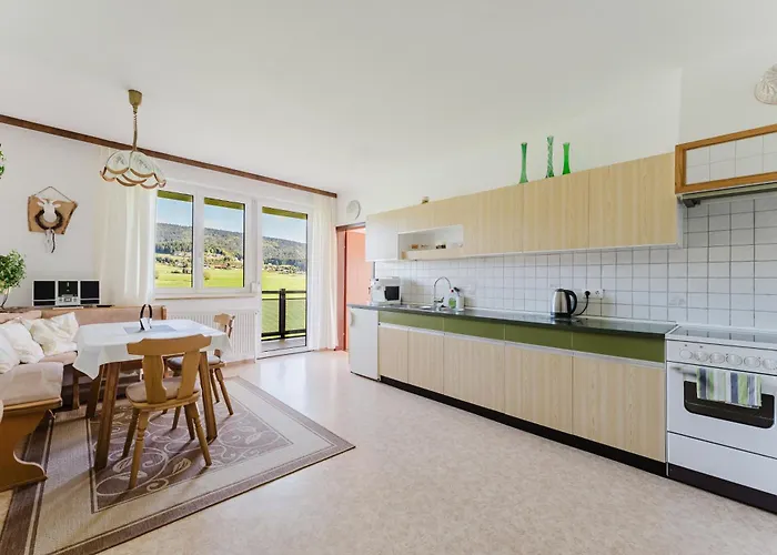 Schaubmeier * كلافر ام هوتشفيشت