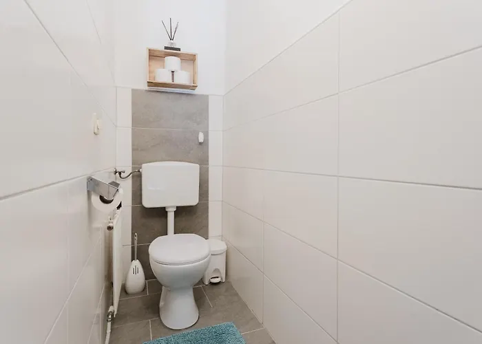 Schaubmeier * كلافر ام هوتشفيشت