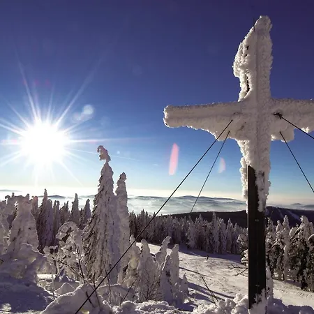 Schaubmeier كلافر ام هوتشفيشت