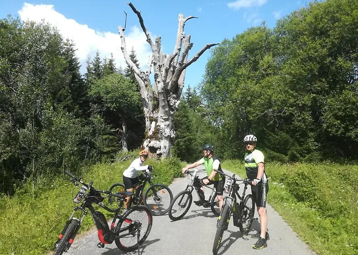 Schaubmeier Daire Klaffer am Hochficht