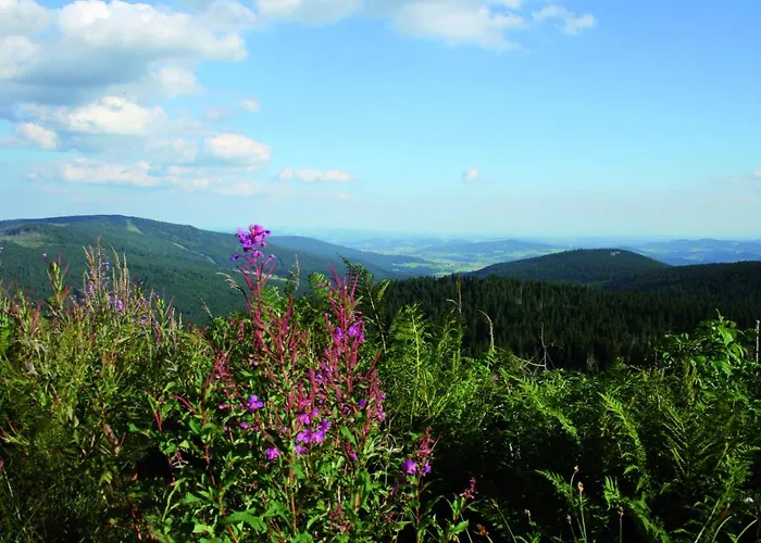 Schaubmeier * Klaffer am Hochficht