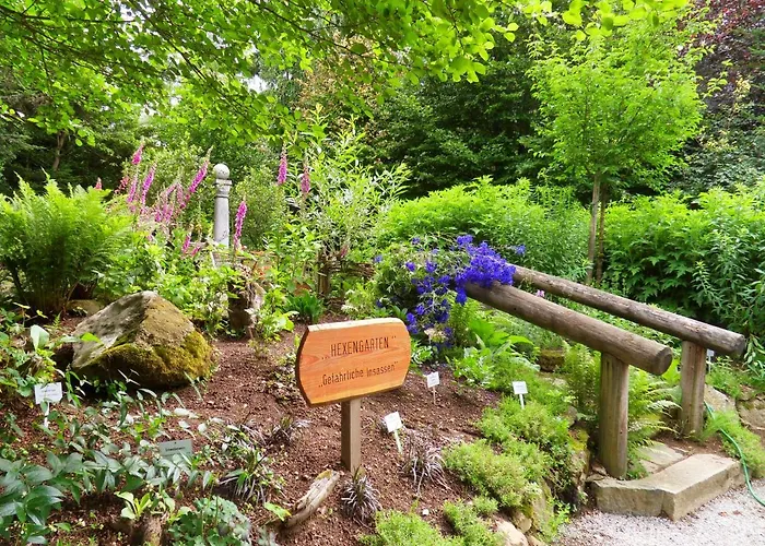 Schaubmeier * Klaffer am Hochficht